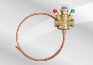 DPZV1934 Differential Pressure Zone Valve